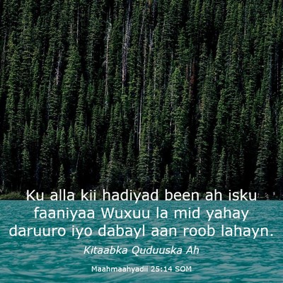 Picture 03 - Maahmaahyadii 25:14 SOM - Ku alla kii hadiyad been ah isku faaniyaa Wuxuu - Bible Verse Picture