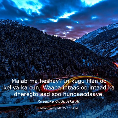 Picture 03 - Maahmaahyadii 25:16 SOM - Malab ma heshay? In kugu filan oo keliya ka cun, - Bible Verse Picture