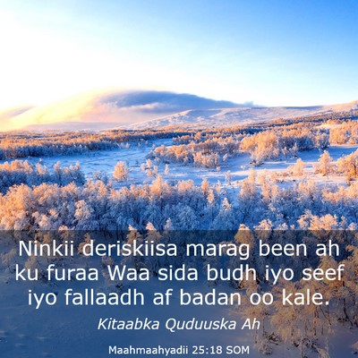 Picture 03 - Maahmaahyadii 25:18 SOM - Ninkii deriskiisa marag been ah ku furaa Waa sida - Bible Verse Picture
