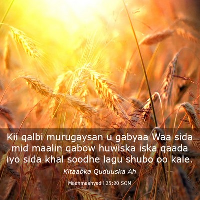 Picture 03 - Maahmaahyadii 25:20 SOM - Kii qalbi murugaysan u gabyaa Waa sida mid maalin - Bible Verse Picture