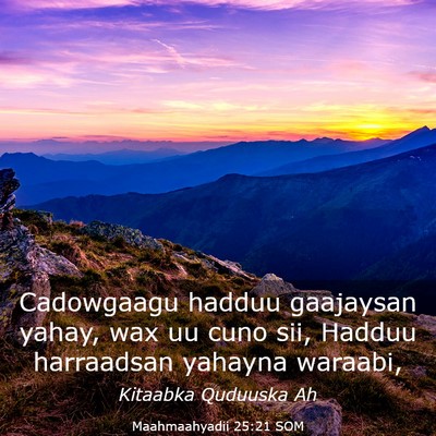 Picture 03 - Maahmaahyadii 25:21 SOM - Cadowgaagu hadduu gaajaysan yahay, wax uu cuno - Bible Verse Picture