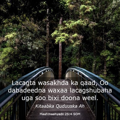 Picture 03 - Maahmaahyadii 25:4 SOM - Lacagta wasakhda ka qaad, Oo dabadeedna waxaa - Bible Verse Picture