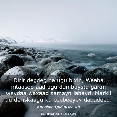 Picture 03 - Maahmaahyadii 25:8 SOM - Dirir degdeg ha ugu bixin, Waaba intaasoo aad ugu - Bible Verse Picture