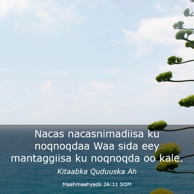 Picture 03 - Maahmaahyadii 26:11 SOM - Nacas nacasnimadiisa ku noqnoqdaa Waa sida eey - Bible Verse Picture