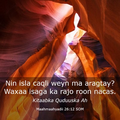 Picture 03 - Maahmaahyadii 26:12 SOM - Nin isla caqli weyn ma aragtay? Waxaa isaga ka - Bible Verse Picture