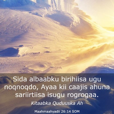 Picture 03 - Maahmaahyadii 26:14 SOM - Sida albaabku birihiisa ugu noqnoqdo, Ayaa kii - Bible Verse Picture