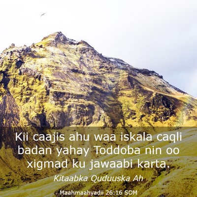 Picture 03 - Maahmaahyadii 26:16 SOM - Kii caajis ahu waa iskala caqli badan yahay - Bible Verse Picture