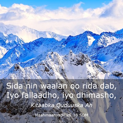 Picture 03 - Maahmaahyadii 26:18 SOM - Sida nin waalan oo rida dab, Iyo fallaadho, iyo - Bible Verse Picture