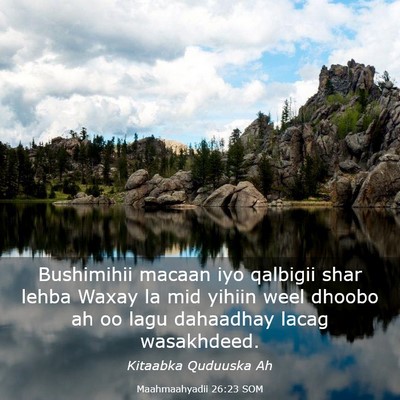 Picture 03 - Maahmaahyadii 26:23 SOM - Bushimihii macaan iyo qalbigii shar lehba Waxay - Bible Verse Picture
