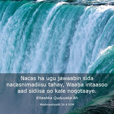 Picture 03 - Maahmaahyadii 26:4 SOM - Nacas ha ugu jawaabin sida nacasnimadiisu tahay, - Bible Verse Picture