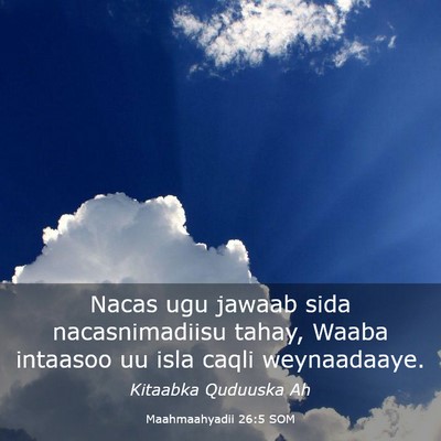 Picture 03 - Maahmaahyadii 26:5 SOM - Nacas ugu jawaab sida nacasnimadiisu tahay, Waaba - Bible Verse Picture