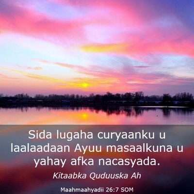 Picture 03 - Maahmaahyadii 26:7 SOM - Sida lugaha curyaanku u laalaadaan Ayuu - Bible Verse Picture