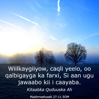 Picture 03 - Maahmaahyadii 27:11 SOM - Wiilkaygiiyow, caqli yeelo, oo qalbigayga ka - Bible Verse Picture