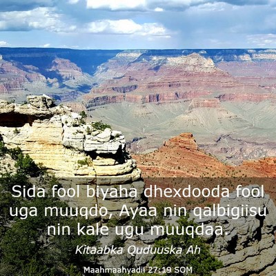 Picture 03 - Maahmaahyadii 27:19 SOM - Sida fool biyaha dhexdooda fool uga muuqdo, Ayaa - Bible Verse Picture