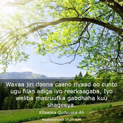 Picture 03 - Maahmaahyadii 27:27 SOM - Waxaa jiri doona caano riyaad oo cunto ugu filan - Bible Verse Picture