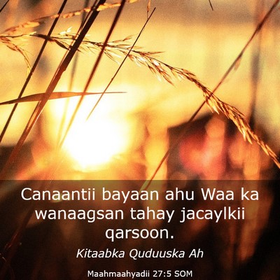 Picture 03 - Maahmaahyadii 27:5 SOM - Canaantii bayaan ahu Waa ka wanaagsan tahay - Bible Verse Picture