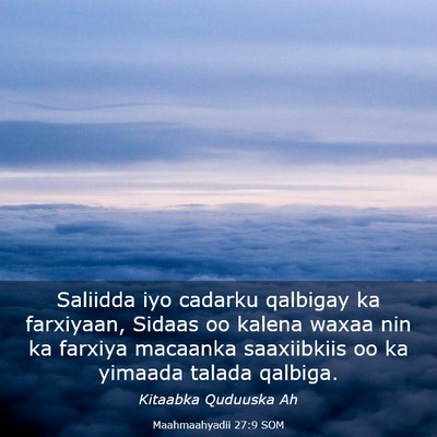 Picture 03 - Maahmaahyadii 27:9 SOM - Saliidda iyo cadarku qalbigay ka farxiyaan, - Bible Verse Picture