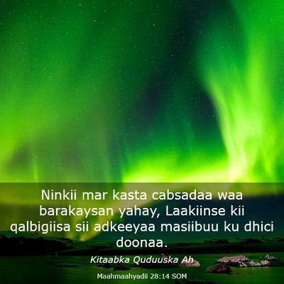 Picture 03 - Maahmaahyadii 28:14 SOM - Ninkii mar kasta cabsadaa waa barakaysan yahay, - Bible Verse Picture
