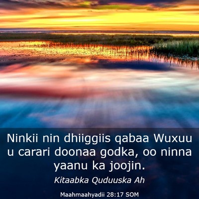 Picture 03 - Maahmaahyadii 28:17 SOM - Ninkii nin dhiiggiis qabaa Wuxuu u carari doonaa - Bible Verse Picture