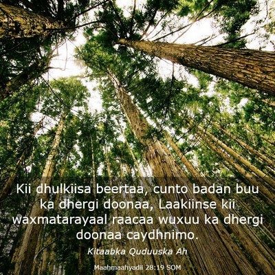 Picture 03 - Maahmaahyadii 28:19 SOM - Kii dhulkiisa beertaa, cunto badan buu ka dhergi - Bible Verse Picture