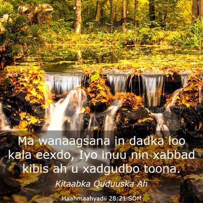Picture 03 - Maahmaahyadii 28:21 SOM - Ma wanaagsana in dadka loo kala eexdo, Iyo inuu - Bible Verse Picture