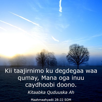 Picture 03 - Maahmaahyadii 28:22 SOM - Kii taajirnimo ku degdegaa waa qumay, Mana oga - Bible Verse Picture