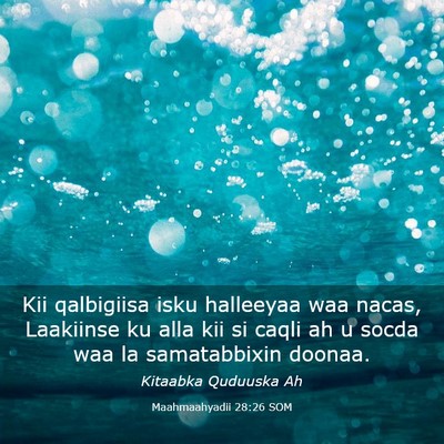 Picture 03 - Maahmaahyadii 28:26 SOM - Kii qalbigiisa isku halleeyaa waa nacas, - Bible Verse Picture