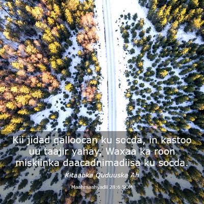 Picture 03 - Maahmaahyadii 28:6 SOM - Kii jidad qalloocan ku socda, in kastoo uu taajir - Bible Verse Picture
