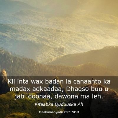 Picture 03 - Maahmaahyadii 29:1 SOM - Kii inta wax badan la canaanto ka madax adkaadaa, - Bible Verse Picture