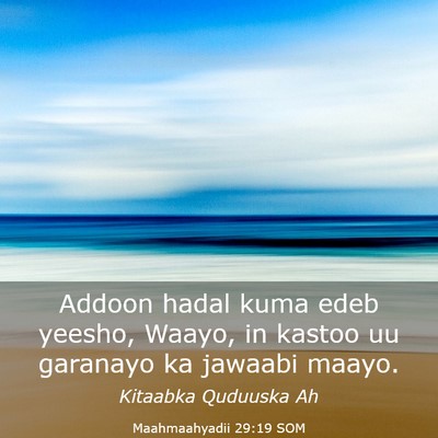 Picture 03 - Maahmaahyadii 29:19 SOM - Addoon hadal kuma edeb yeesho, Waayo, in kastoo - Bible Verse Picture