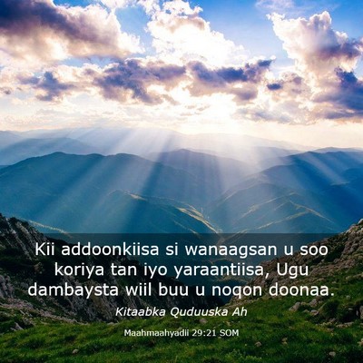 Picture 03 - Maahmaahyadii 29:21 SOM - Kii addoonkiisa si wanaagsan u soo koriya tan iyo - Bible Verse Picture
