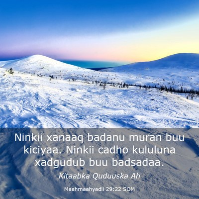 Picture 03 - Maahmaahyadii 29:22 SOM - Ninkii xanaaq badanu muran buu kiciyaa. Ninkii - Bible Verse Picture