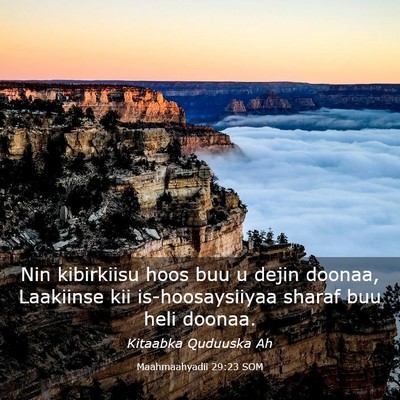Picture 03 - Maahmaahyadii 29:23 SOM - Nin kibirkiisu hoos buu u dejin doonaa, Laakiinse - Bible Verse Picture