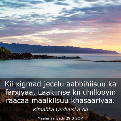 Picture 03 - Maahmaahyadii 29:3 SOM - Kii xigmad jecelu aabbihiisuu ka farxiyaa, - Bible Verse Picture