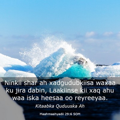 Picture 03 - Maahmaahyadii 29:6 SOM - Ninkii shar ah xadgudubkiisa waxaa ku jira dabin, - Bible Verse Picture