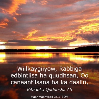 Picture 03 - Maahmaahyadii 3:11 SOM - Wiilkaygiiyow, Rabbiga edbintiisa ha quudhsan, Oo - Bible Verse Picture