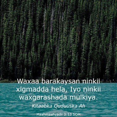 Picture 03 - Maahmaahyadii 3:13 SOM - Waxaa barakaysan ninkii xigmadda hela, Iyo ninkii - Bible Verse Picture