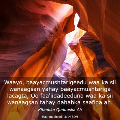 Picture 03 - Maahmaahyadii 3:14 SOM - Waayo, baayacmushtarigeedu waa ka sii wanaagsan - Bible Verse Picture