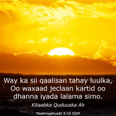 Picture 03 - Maahmaahyadii 3:15 SOM - Way ka sii qaalisan tahay luulka, Oo waxaad - Bible Verse Picture