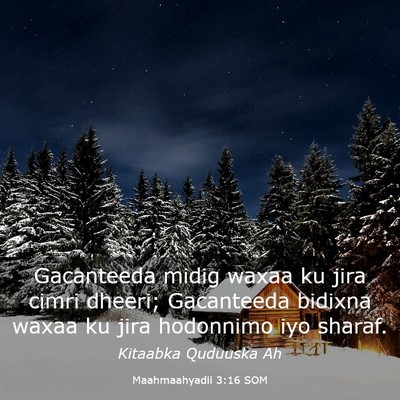 Picture 03 - Maahmaahyadii 3:16 SOM - Gacanteeda midig waxaa ku jira cimri dheeri; - Bible Verse Picture