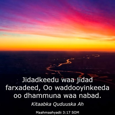 Picture 03 - Maahmaahyadii 3:17 SOM - Jidadkeedu waa jidad farxadeed, Oo waddooyinkeeda - Bible Verse Picture