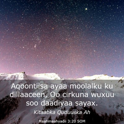 Picture 03 - Maahmaahyadii 3:20 SOM - Aqoontiisa ayaa moolalku ku dillaaceen, Oo - Bible Verse Picture