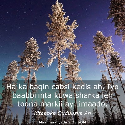 Picture 03 - Maahmaahyadii 3:25 SOM - Ha ka baqin cabsi kedis ah, Iyo baabbi'inta kuwa - Bible Verse Picture