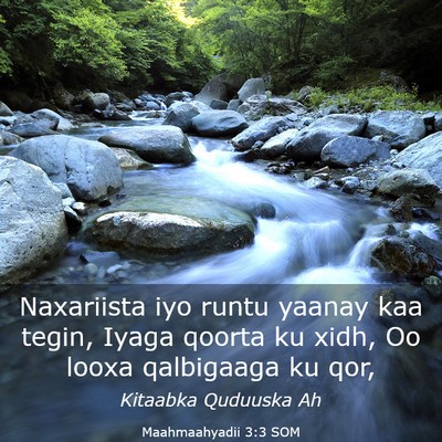 Picture 03 - Maahmaahyadii 3:3 SOM - Naxariista iyo runtu yaanay kaa tegin, Iyaga - Bible Verse Picture
