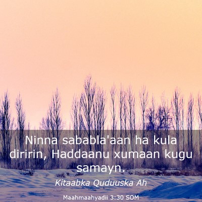 Picture 03 - Maahmaahyadii 3:30 SOM - Ninna sababla'aan ha kula diririn, Haddaanu - Bible Verse Picture