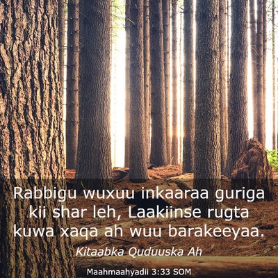 Picture 03 - Maahmaahyadii 3:33 SOM - Rabbigu wuxuu inkaaraa guriga kii shar leh, - Bible Verse Picture