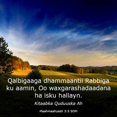 Picture 03 - Maahmaahyadii 3:5 SOM - Qalbigaaga dhammaantii Rabbiga ku aamin, Oo - Bible Verse Picture