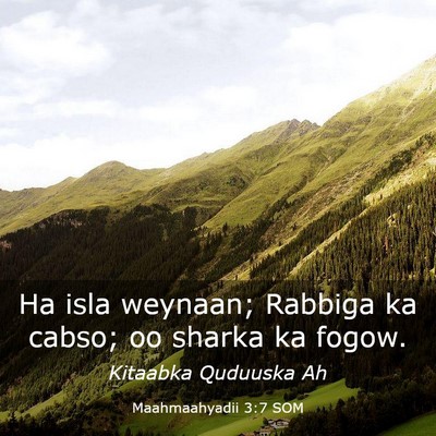 Picture 03 - Maahmaahyadii 3:7 SOM - Ha isla weynaan; Rabbiga ka cabso; oo sharka ka - Bible Verse Picture