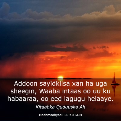 Picture 03 - Maahmaahyadii 30:10 SOM - Addoon sayidkiisa xan ha uga sheegin, Waaba - Bible Verse Picture