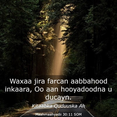 Picture 03 - Maahmaahyadii 30:11 SOM - Waxaa jira farcan aabbahood inkaara, Oo aan - Bible Verse Picture
